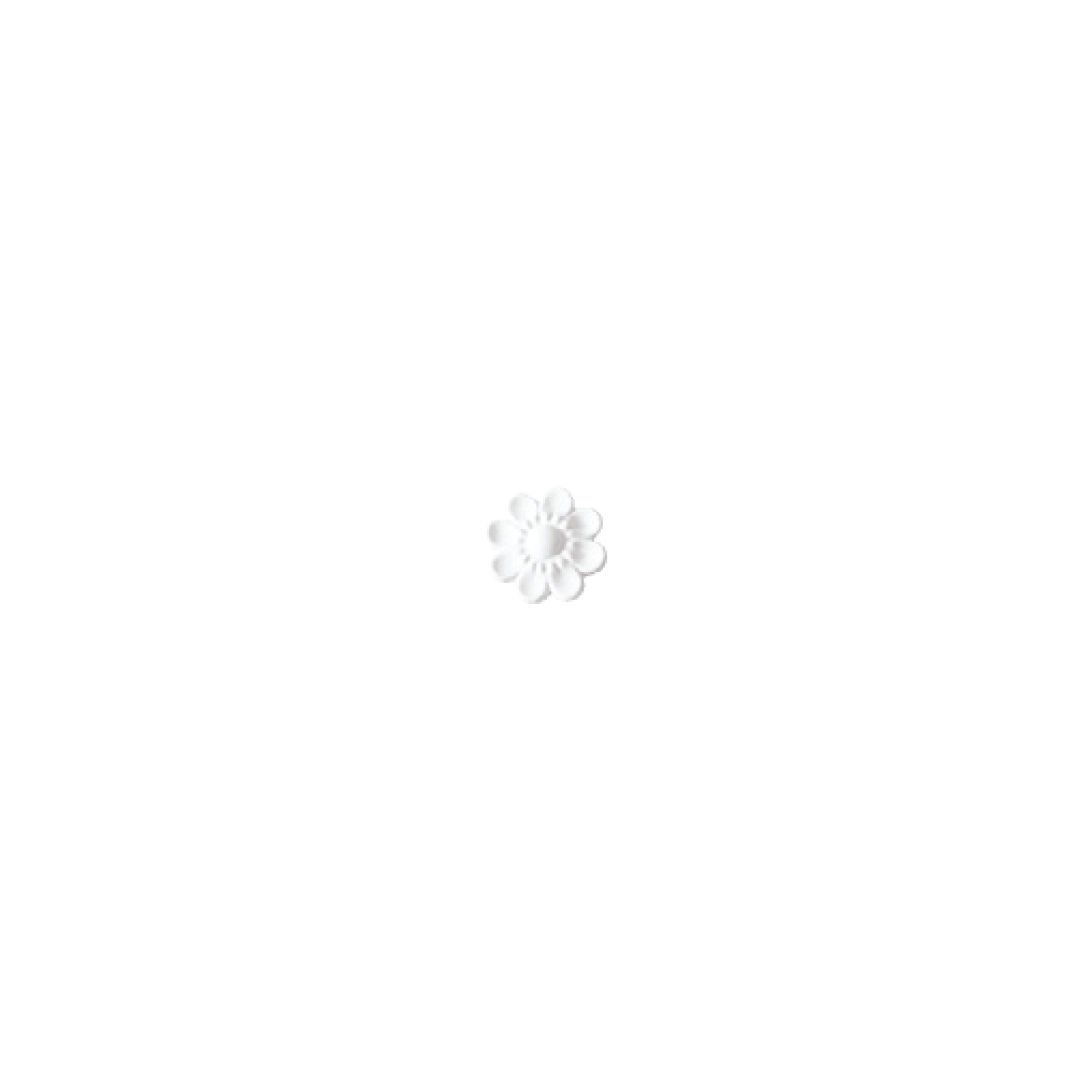 Decorative element DE19 | DECORATUS