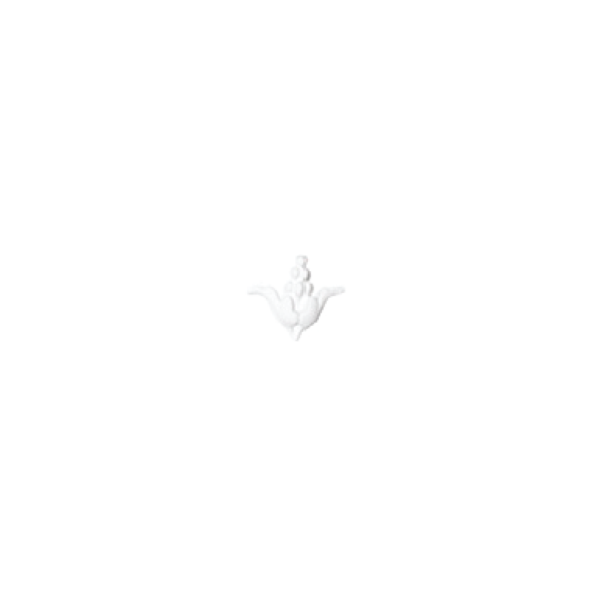 Decorative element DE35 | DECORATUS