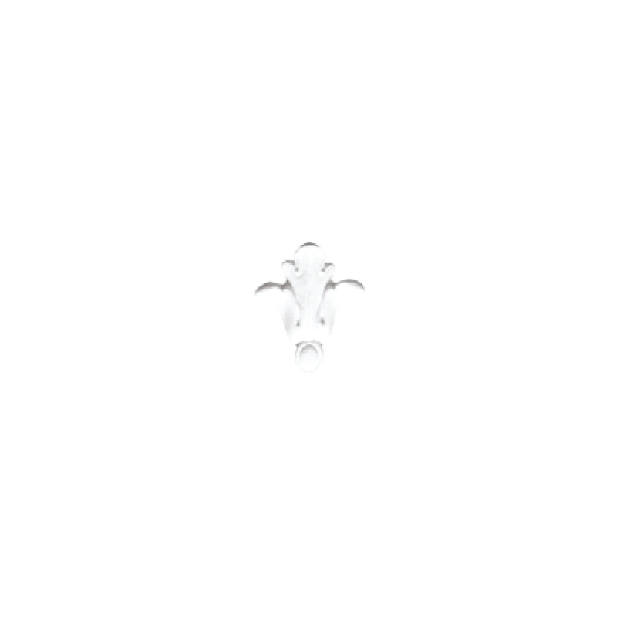 Decorative element DE41 | DECORATUS