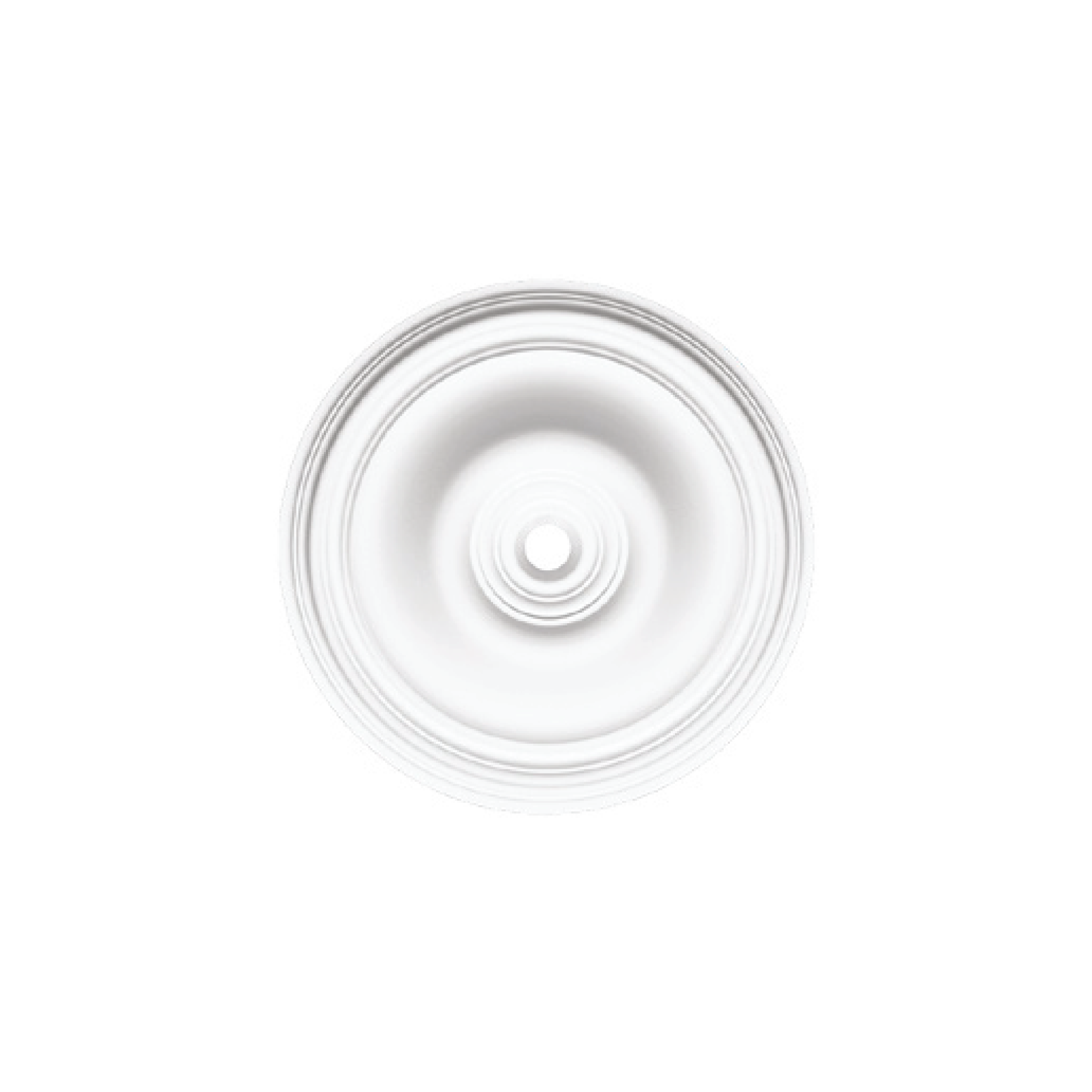 Rosette RO56