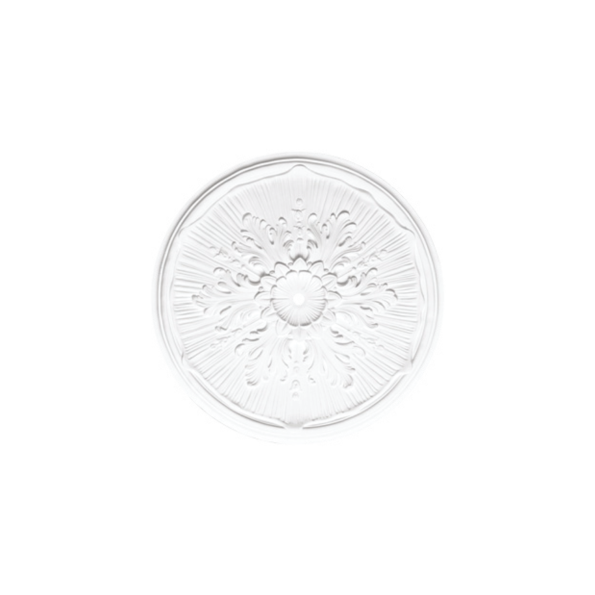 Rosette RO58